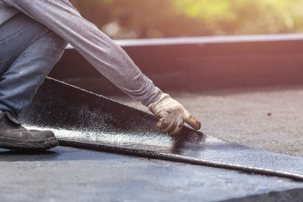 Professional Interior Drainage System technician working in Camden, IN